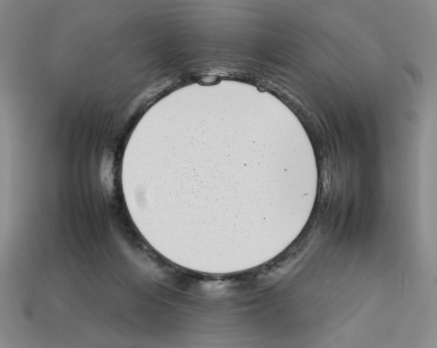 X0000112790216200910021106