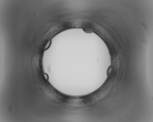 X0000112790217200910021106