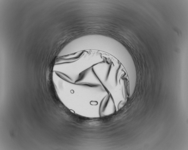 X0000112790219200910021106