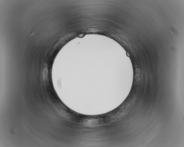 X0000112790220200910021106