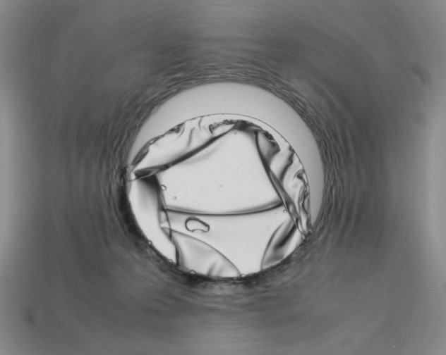 X0000112790223200910021106