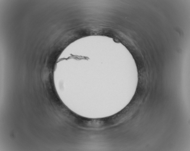 X0000112790225200910021106