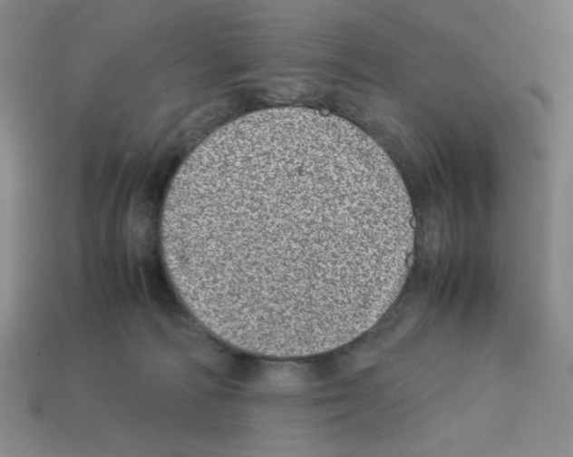 X0000112790226200910021106