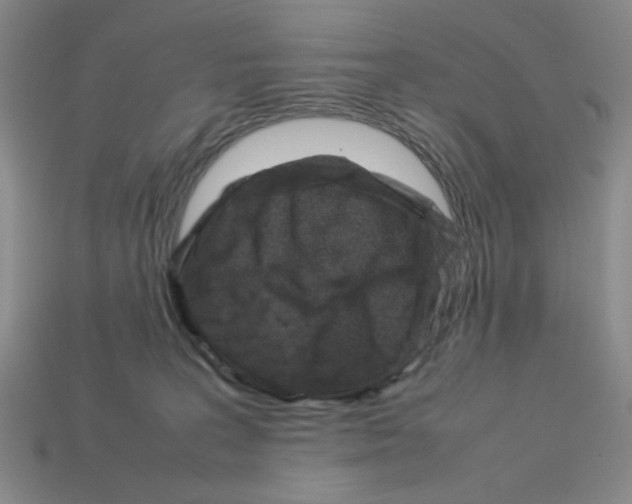 X0000112790227200910021106