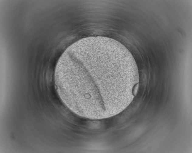 X0000112790230200910021106