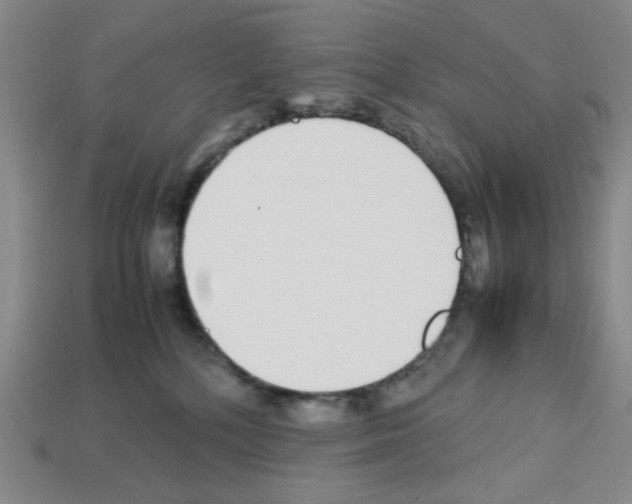 X0000112790232200910021106