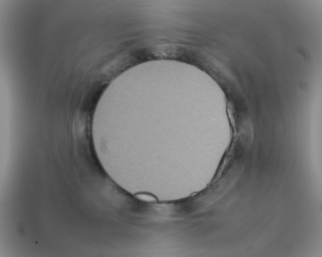 X0000112790233200910021106