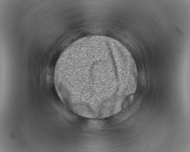 X0000112790234200910021106