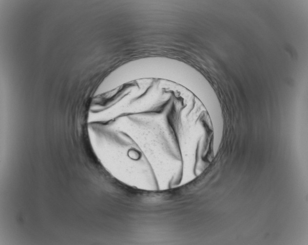 X0000112790235200910021106