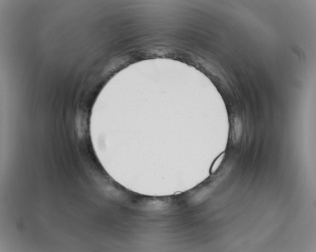 X0000112790236200910021106