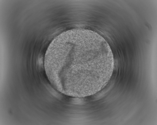 X0000112790238200910021106