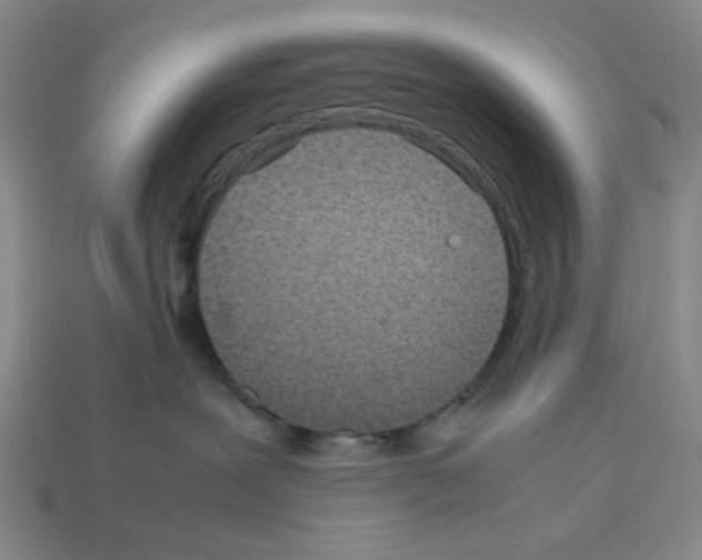 X0000112790239200910021106