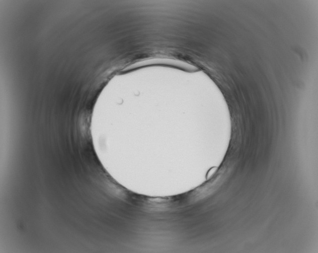 X0000112790240200910021106