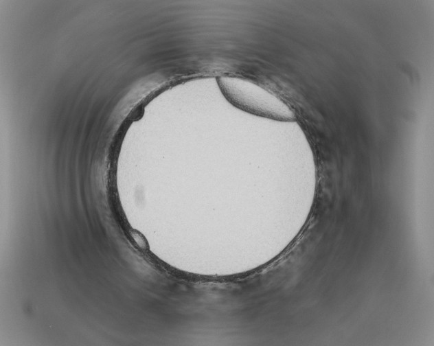 X0000112790242200910021105