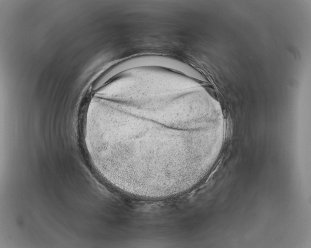 X0000112790243200910021105