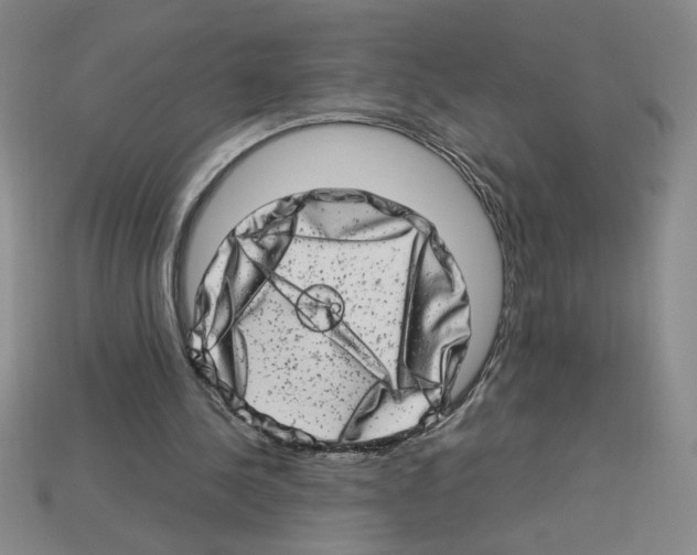 X0000112790244200910021105