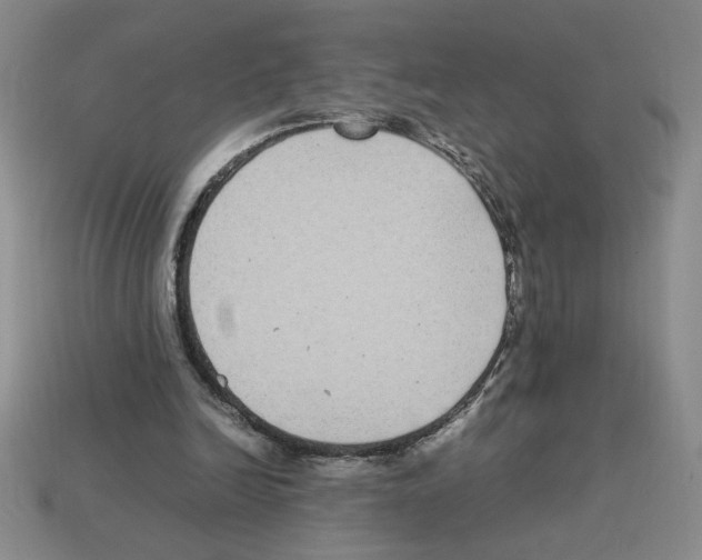 X0000112790246200910021105