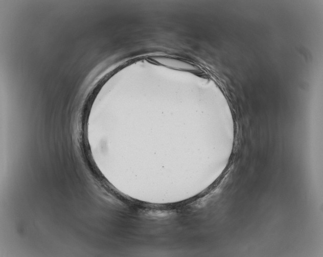 X0000112790247200910021105