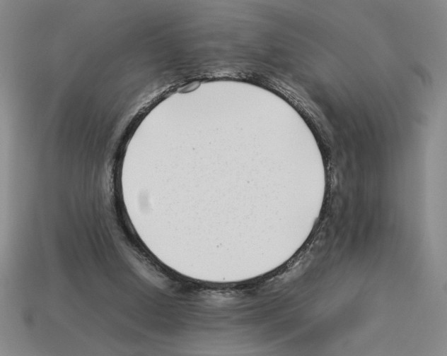 X0000112790250200910021105