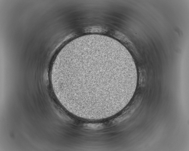 X0000112790251200910021105