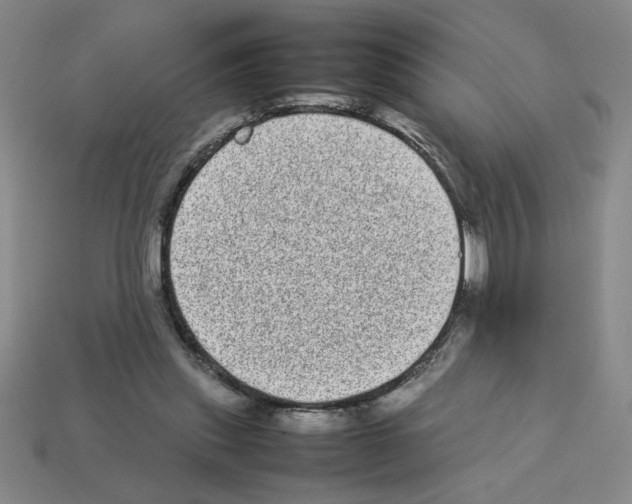 X0000112790253200910021105