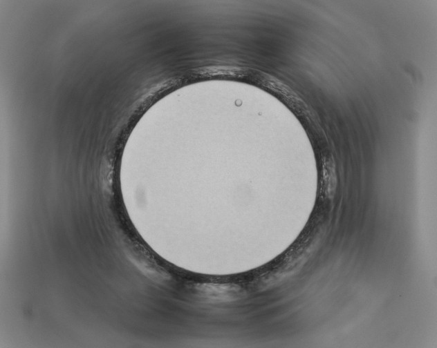 X0000112790255200910021105