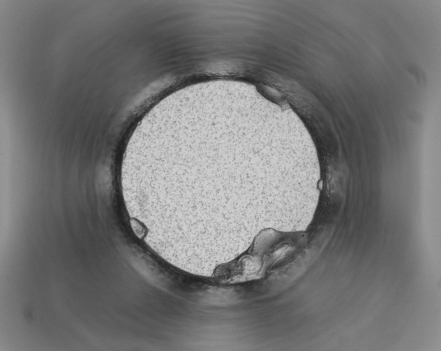 X0000112790256200910021105