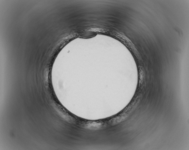 X0000112790257200910021106