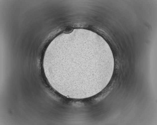 X0000112790258200910021106