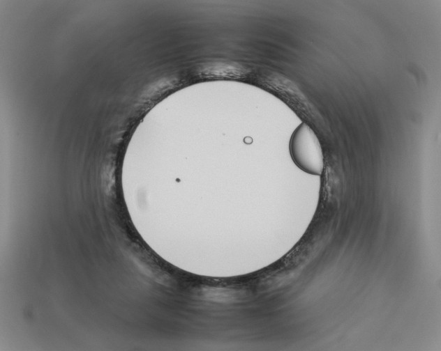 X0000112790259200910021106