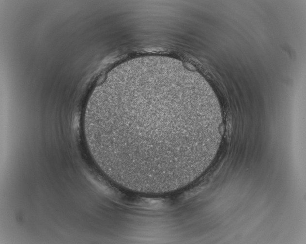 X0000112790260200910021106