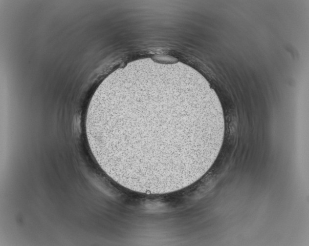 X0000112790262200910021106