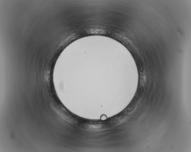 X0000112790263200910021106