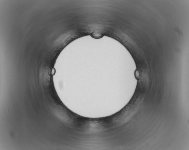 X0000112790264200910021106