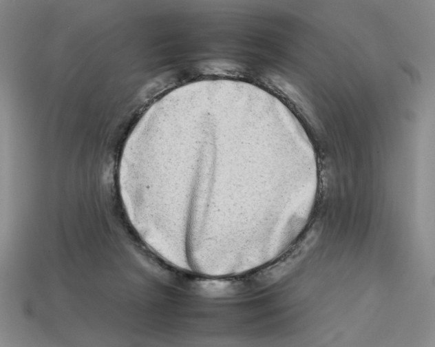 X0000112790265200910021106