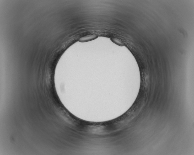 X0000112790266200910021106