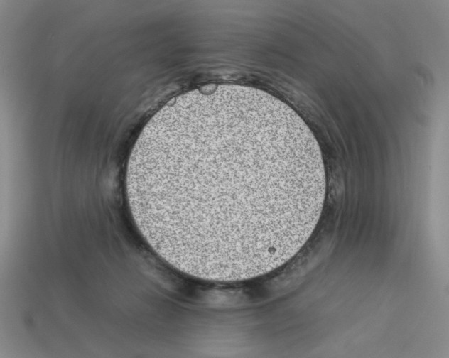 X0000112790270200910021106