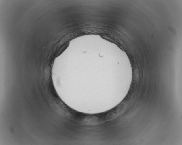 X0000112790271200910021106