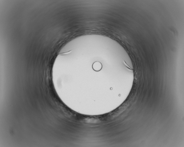 X0000112790272200910021106