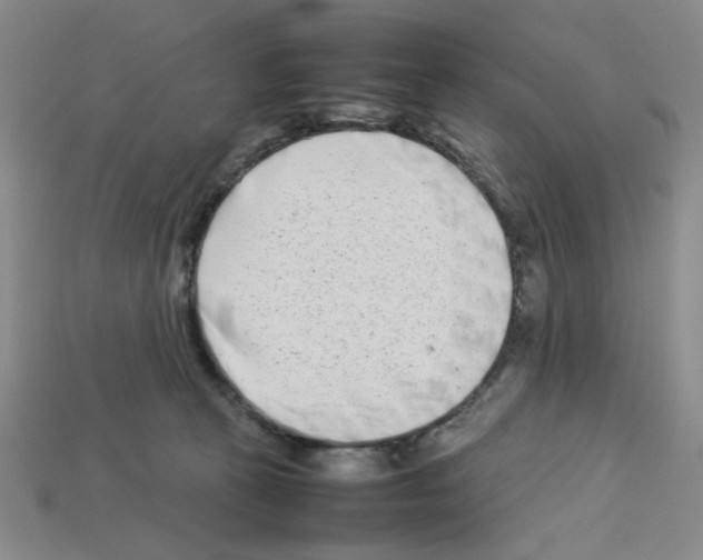 X0000112790273200910021106