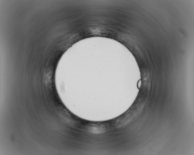 X0000112790275200910021106