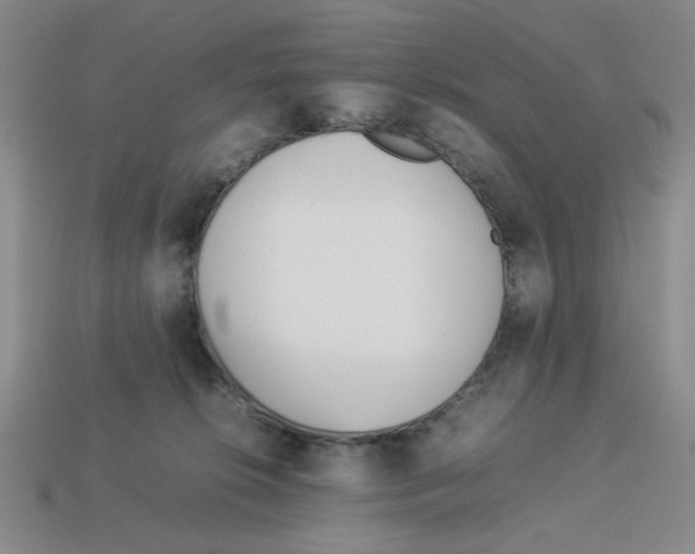 X0000112790276200910021106