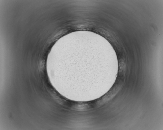 X0000112790278200910021106