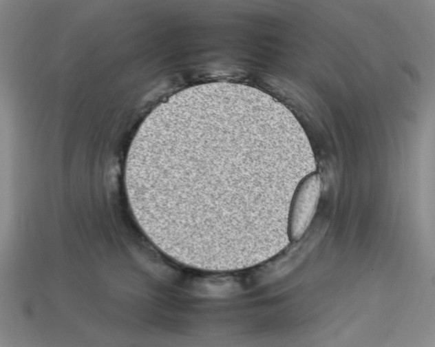 X0000112790279200910021106