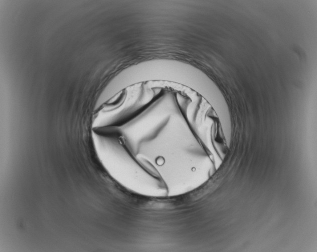 X0000112790280200910021106