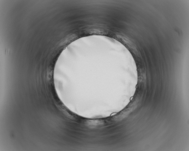 X0000112790281200910021106