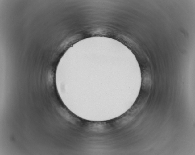 X0000112790282200910021106