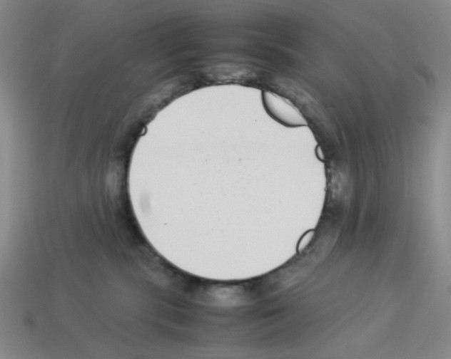 X0000112790283200910021106