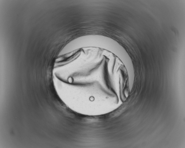 X0000112790284200910021106