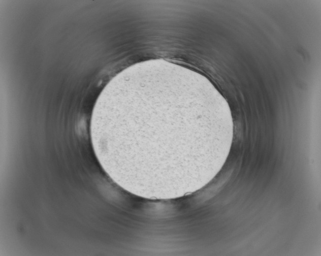 X0000112790286200910021106